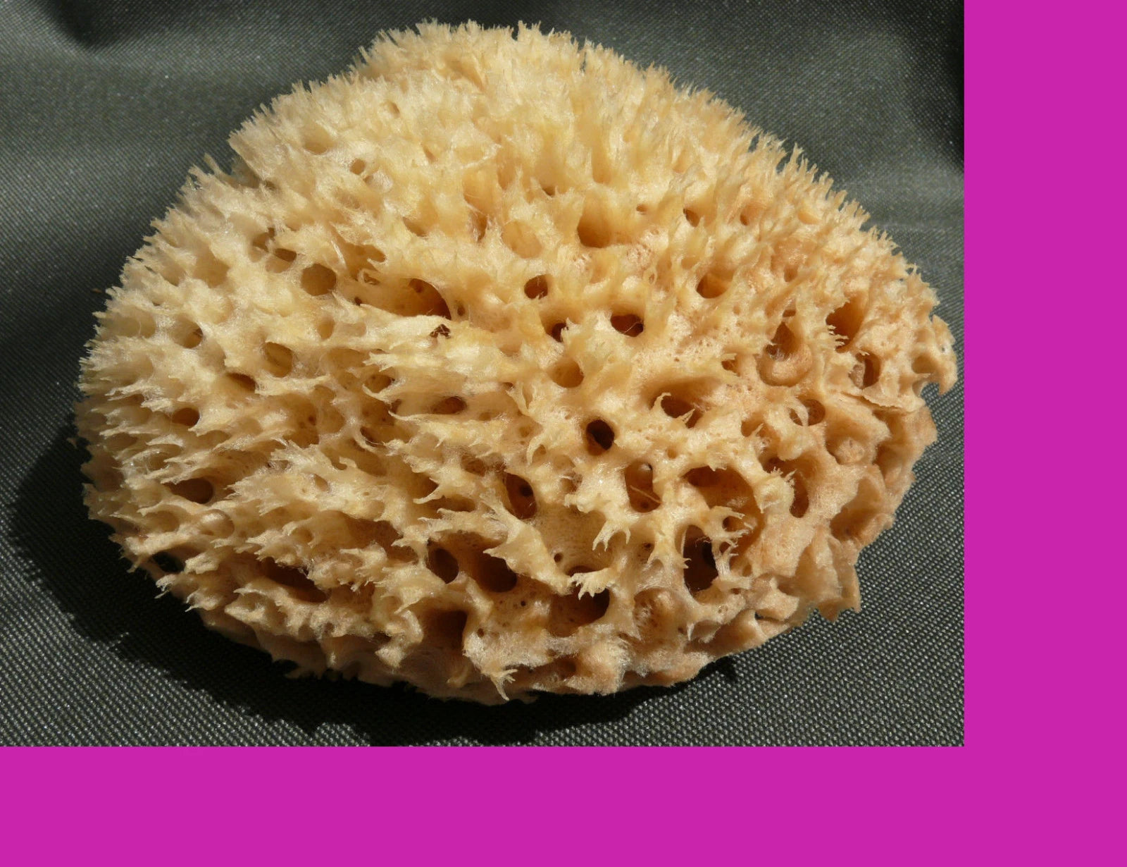 Sea Sponge SUPER  14cm  Unbleached Brown