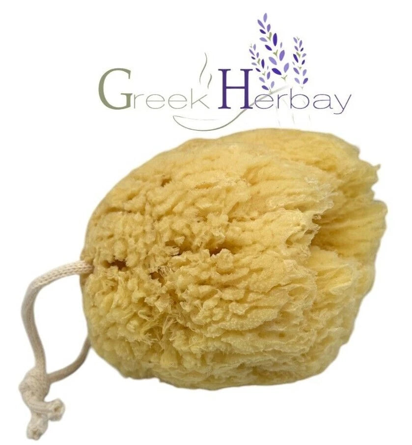 Natural Dried Greek Sea Sponge 5.0"-5.50" inches(12-14cm) Kalymnos Bath Shower