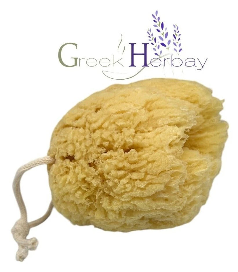 Natural Dried Greek Sea Sponge 5.0"-5.50" inches(12-14cm) Kalymnos Bath Shower