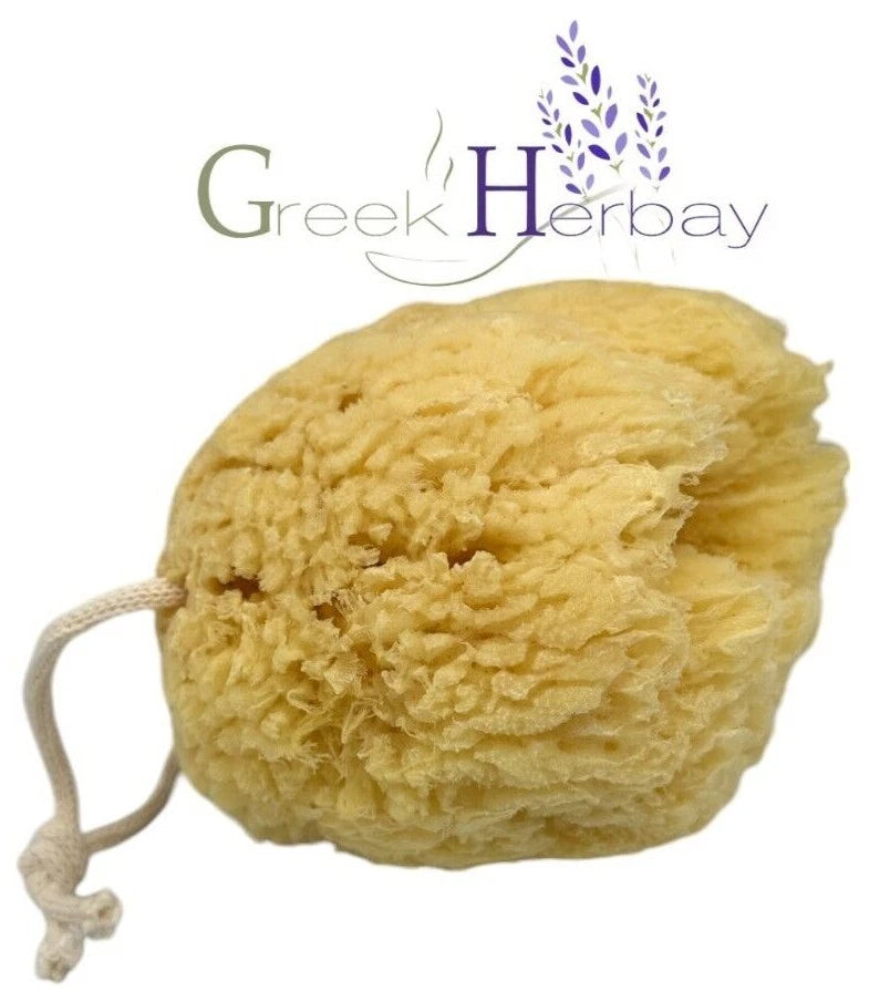 Natural Dried Greek Sea Sponge 5.0"-5.50" inches(12-14cm) Kalymnos Bath Shower
