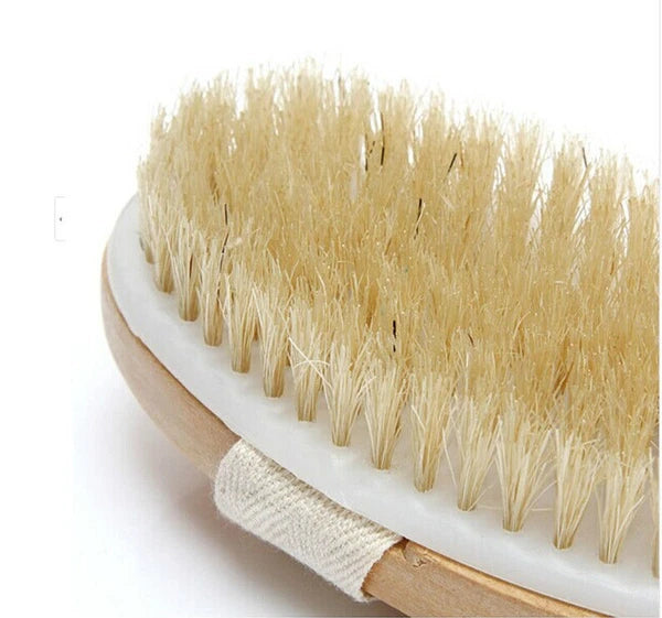 Natural Boar Bristle Long Handle Bath Brush Wooden Bath Brush Shower Back Brush