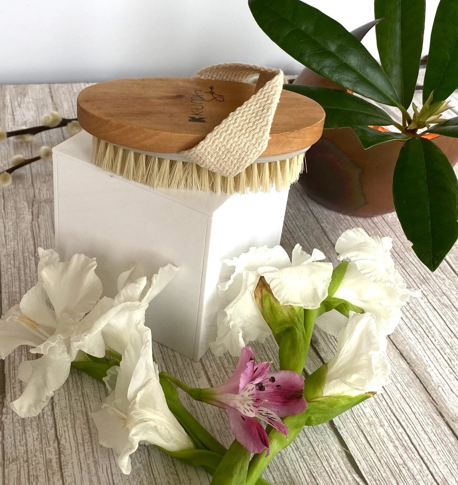 Body Brush Skin Exfoliating Bath Shower Scrubber Wooden Natural Boar Bristles